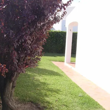Julio Diniz 10