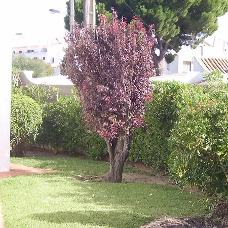 Julio Diniz 10 Albufeira
